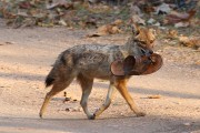 120IMG_5553