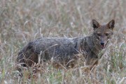 120IMG_5640