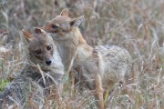 120IMG_5647