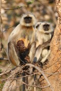 130IMG_5270