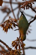 180IMG_4589