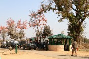 190IMG_5452