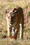 310IMG_7791