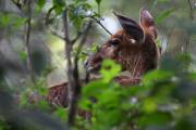 02-04IMG_3063