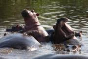 04-06IMG_5115