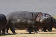 04-07IMG_3977