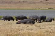 04-07IMG_5651