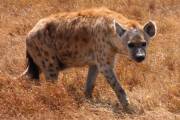 04-09IMG_5754