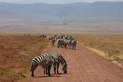 04-09IMG_5801