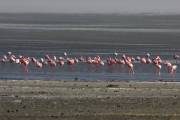 04-12IMG_4262