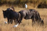 04-12IMG_5223