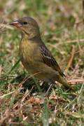 04-14IMG_5787