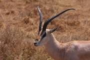 04-18IMG_5825