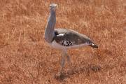 04-19IMG_5828