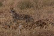 05-04IMG_6111