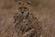 05-05IMG_4365