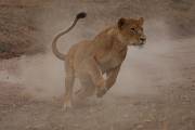 05-11IMG_6241