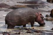 05-20IMG_6440