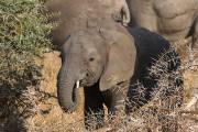 05-22IMG_6361