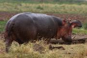 06-03IMG_5245