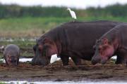 06-03IMG_7339