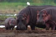 06-03IMG_7365
