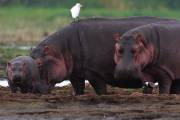 06-03IMG_7369