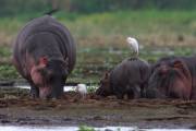 06-03IMG_7388