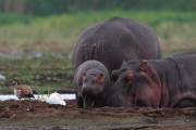 06-03IMG_7397
