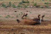 06-04IMG_5400