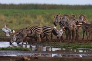 06-04IMG_6857