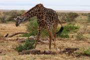 06-05IMG_5423