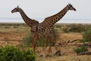 06-05IMG_5435