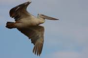 06-05IMG_7022