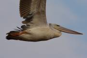 06-05IMG_7024