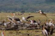 06-05IMG_7256