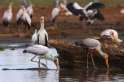 06-06IMG_6886