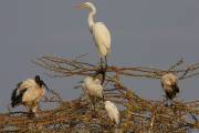 06-06IMG_6930