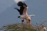 06-06IMG_6951