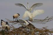 06-06IMG_6989