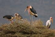 06-06IMG_7250