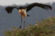 06-06IMG_7269