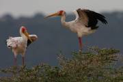06-06IMG_7287