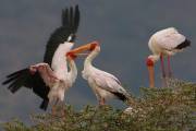 06-06IMG_7316