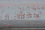 06-09IMG_7532