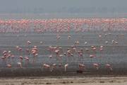 06-09IMG_7535