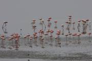 06-09IMG_7628