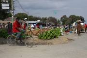 08-01IMG_3731
