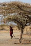 08-01IMG_6024