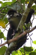 260IMG_8831